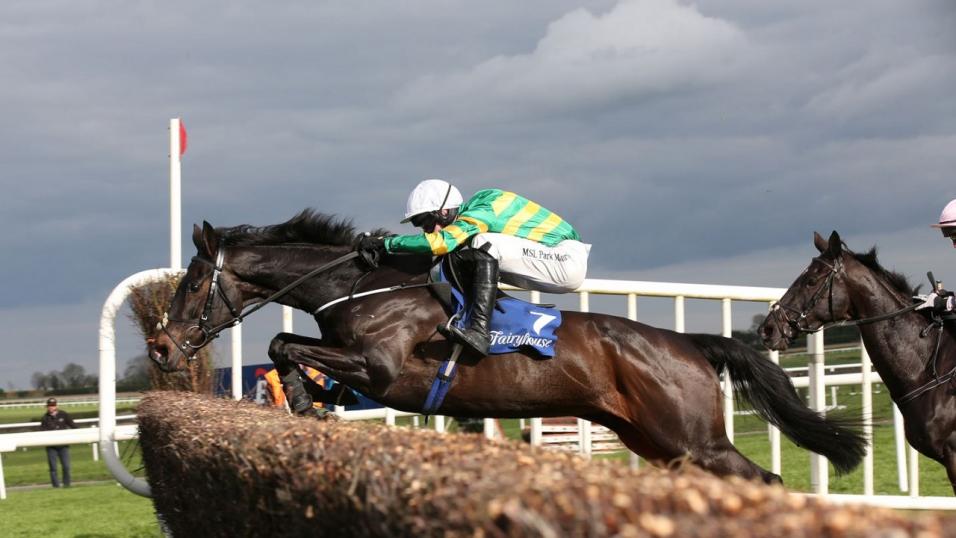 Horses jump fence